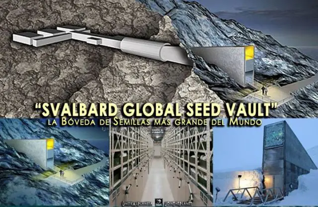 ¿Has Escuchado Hablar De “La Bóveda Del Fin Del Mundo”? MIRA