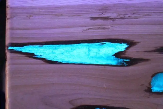 irvingpatioroj