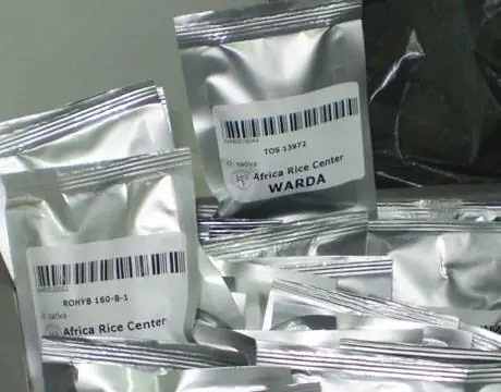 ¿Has Escuchado Hablar De “La Bóveda Del Fin Del Mundo”? MIRA