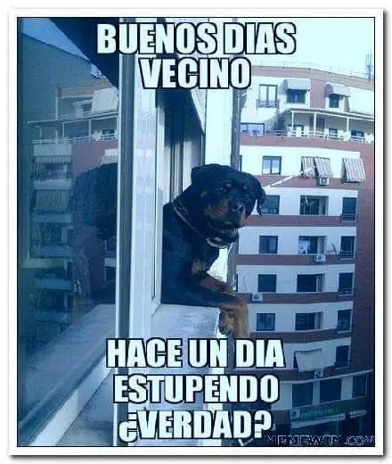 Si no te Ries con estas imagenes denuncia rufian salu2