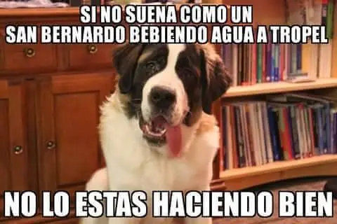 sino