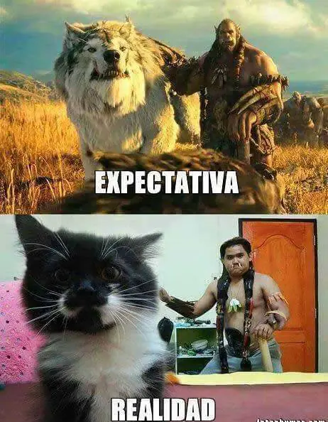 sino