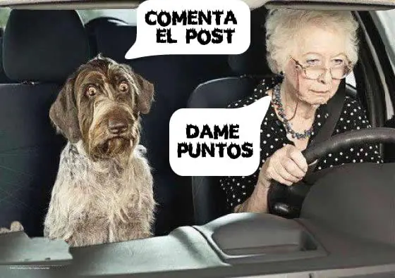 elecciones
