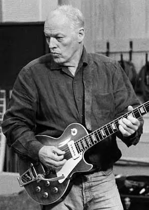 Guitaristas