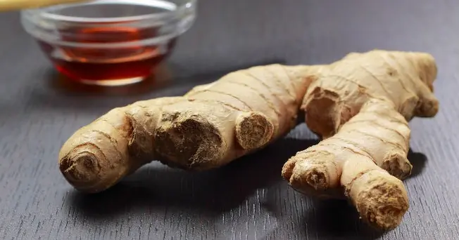 recetas de cocina