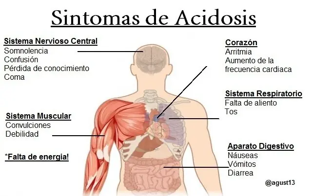 saludables