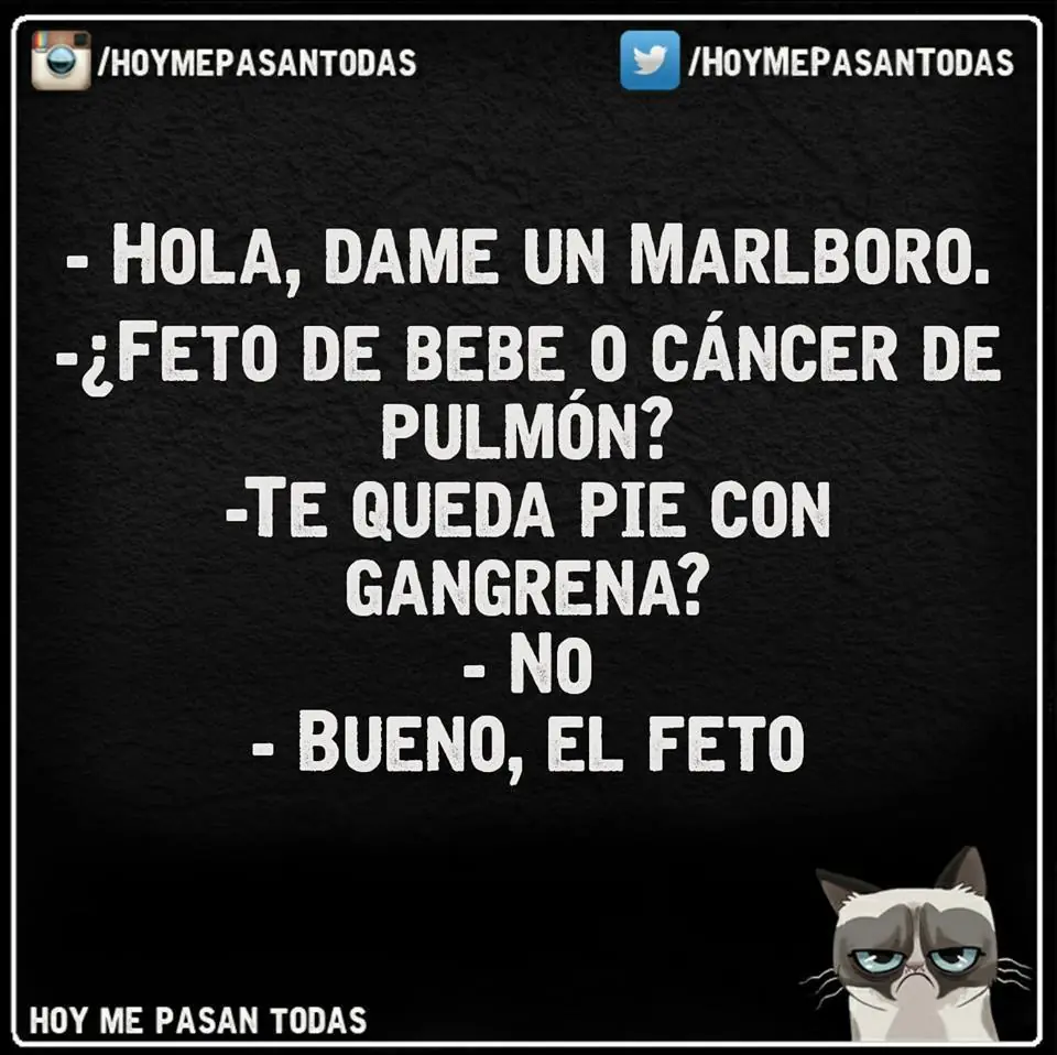 Grafico