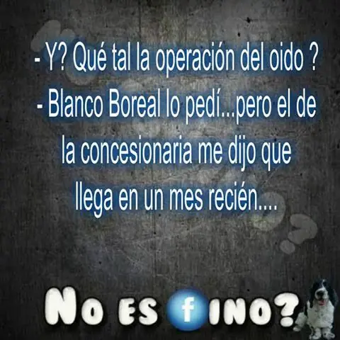 humor