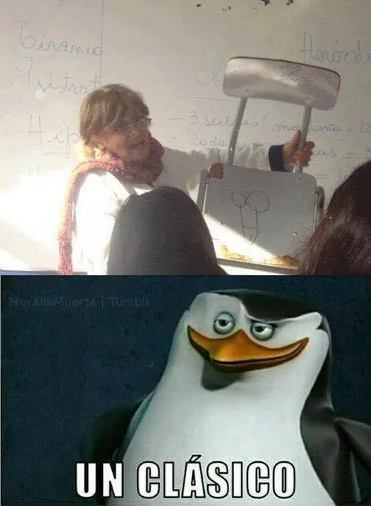 humor memes