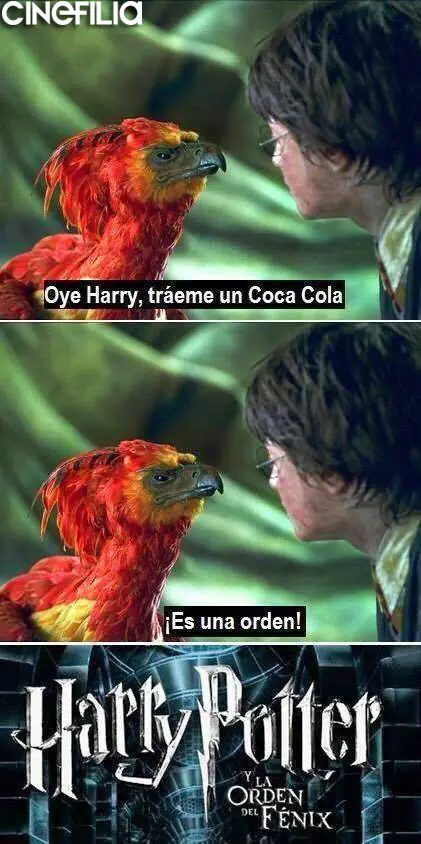 cinefilos