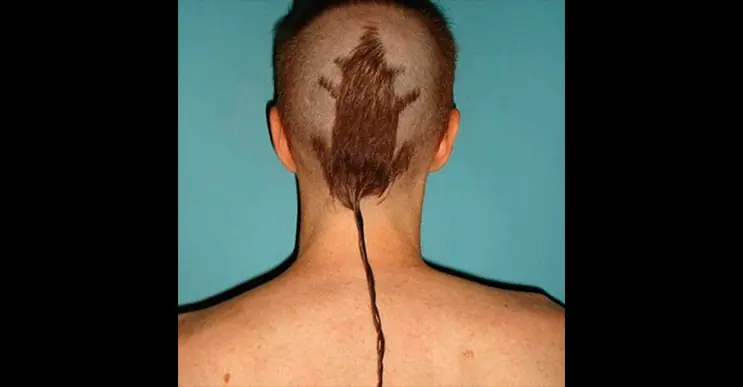 TENDENCIA
