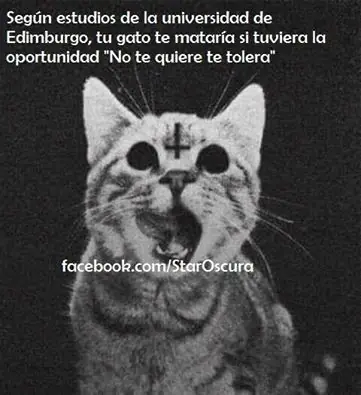 Imágenes de humor nocturno Parte- 61