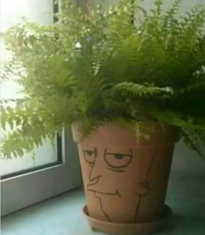 humor