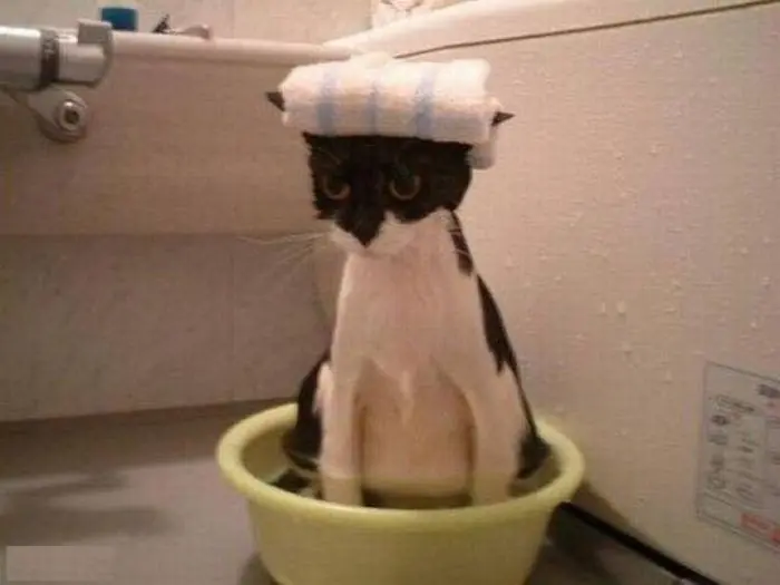 humor