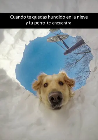 Humor: 32 imágenes graciosas para disfrutar un rato.