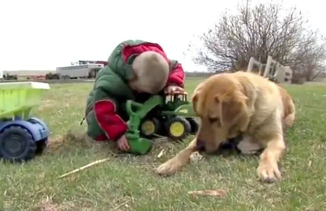 5 Conmovedores ejemplos de Heroísmo Perruno