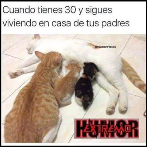 humor