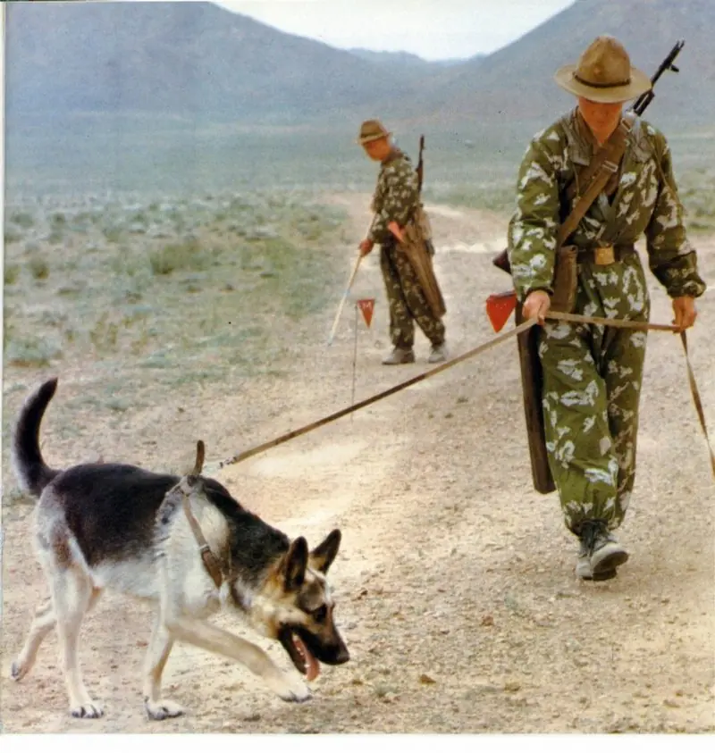 afganistan afganistan