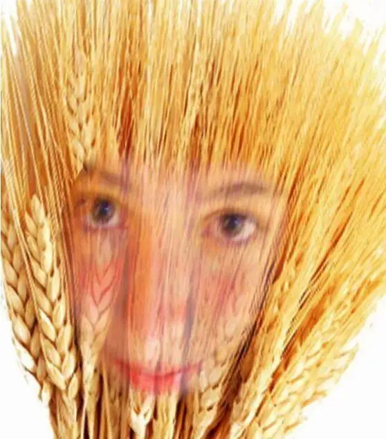 photoshop