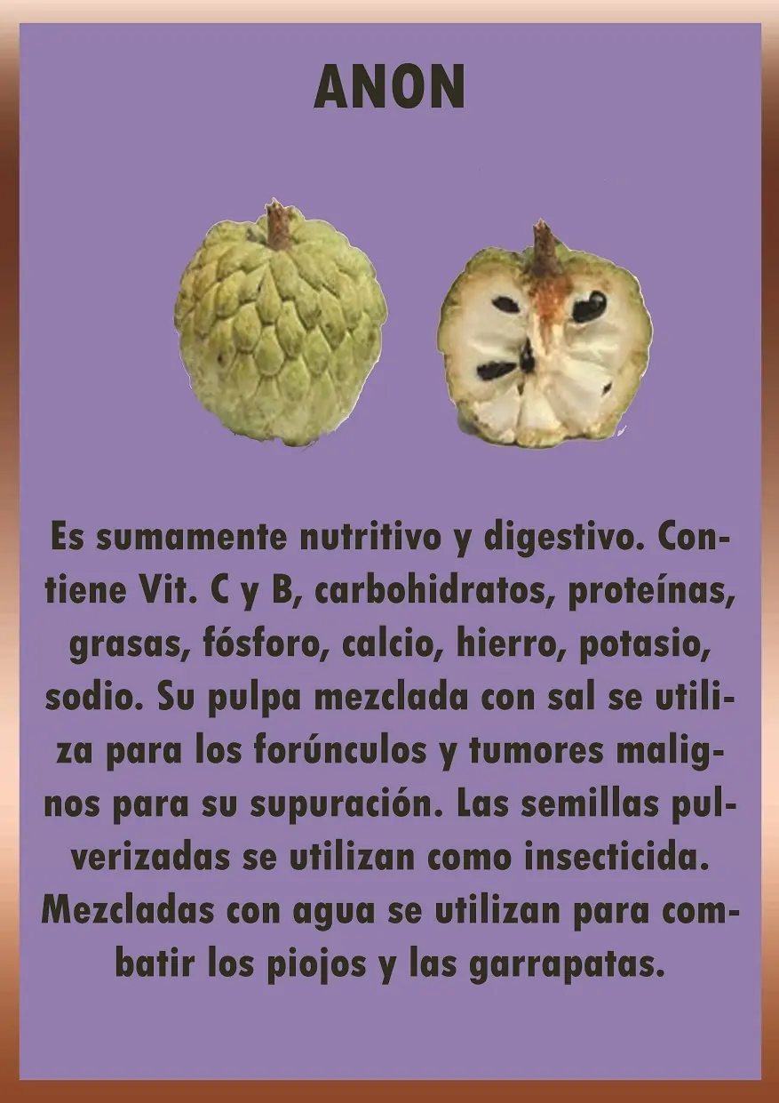 VENEFICIOS