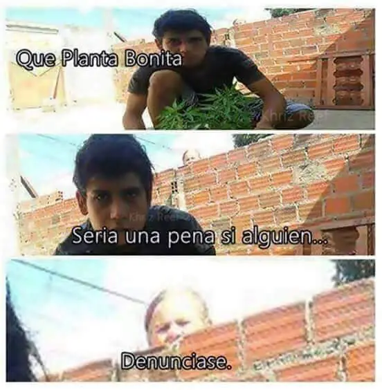 Olvidar que