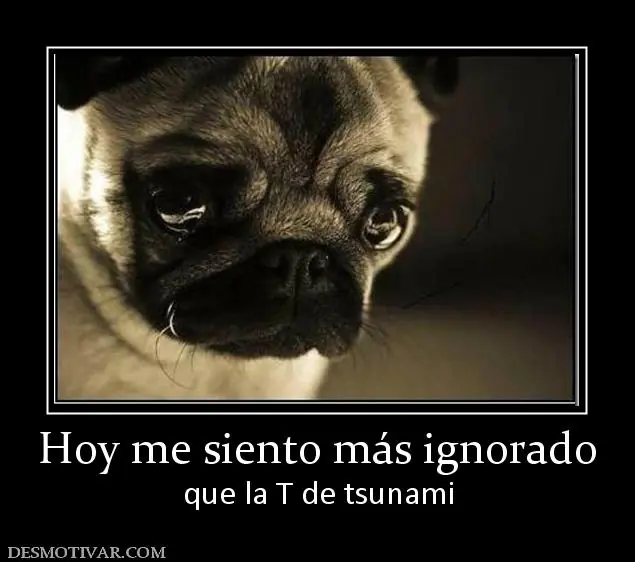 Mi perro me elimino del whatsapp