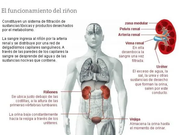 nutricion