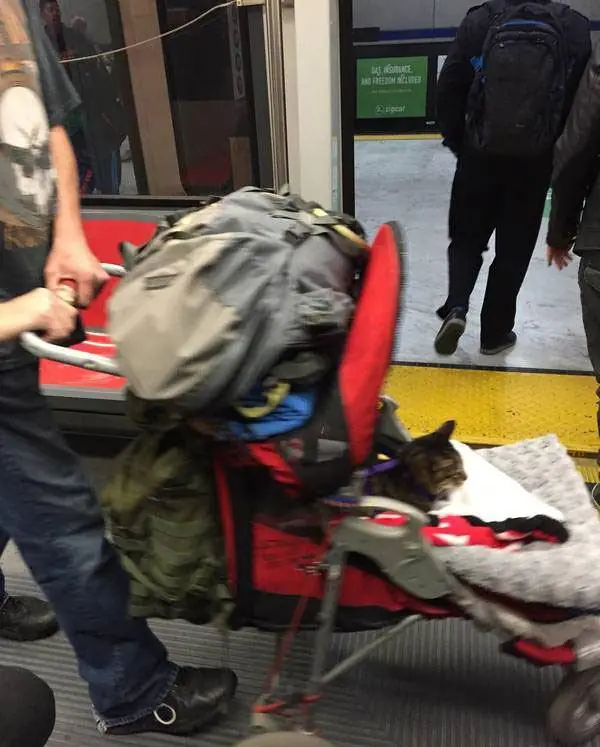 momentos raros en el metro