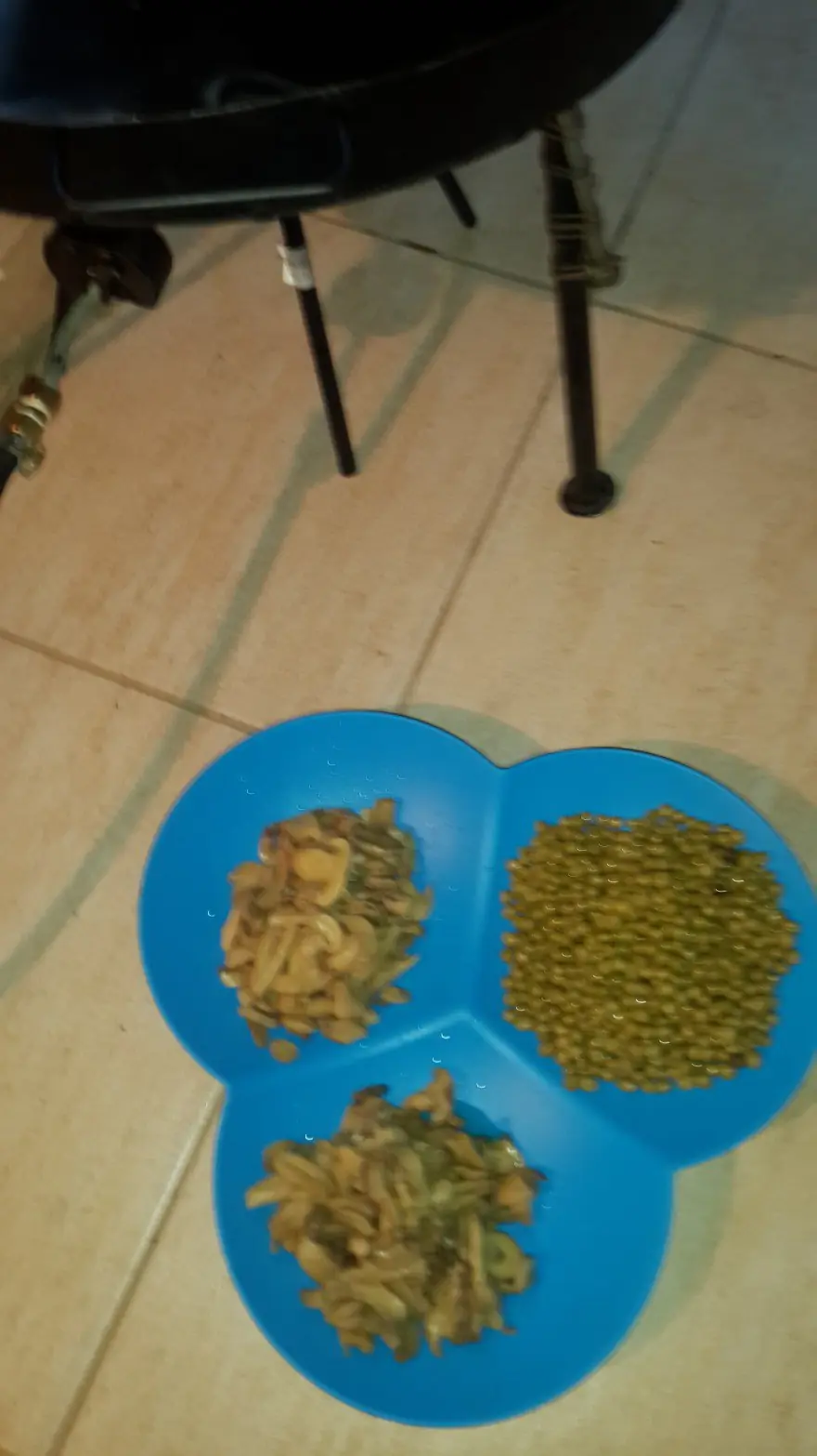 Foto receta pollo al disco – Certificada