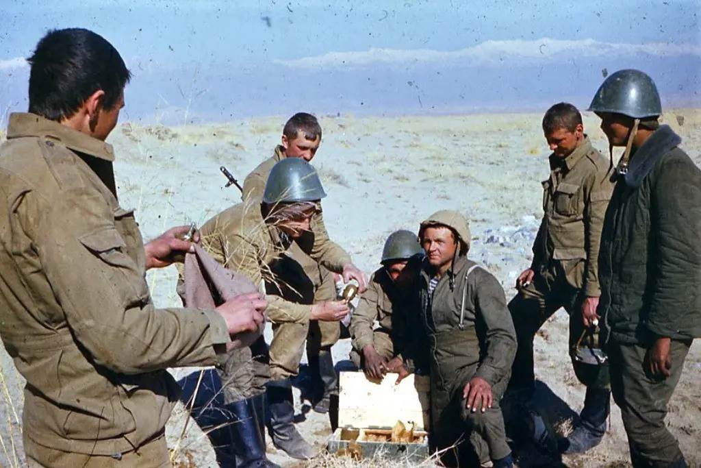 guerra guerra