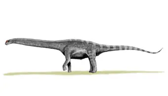 El argentinosaurio: el dinosaurio más grande de la historia!
