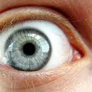 10 Signos Evolutivos del Hombre Moderno