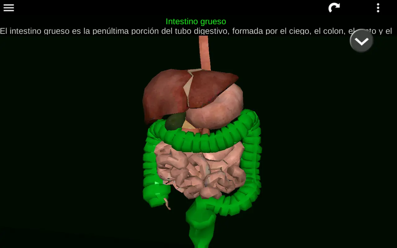 apps para estudiantes de medicina apps para estudiantes de medicina