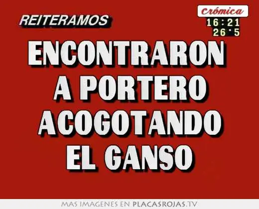 taringa