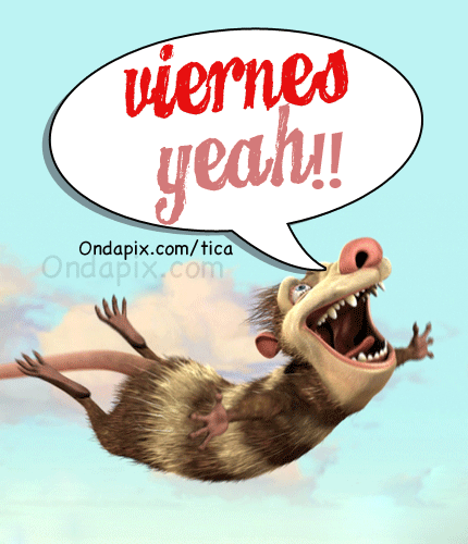 imagenes divertidas