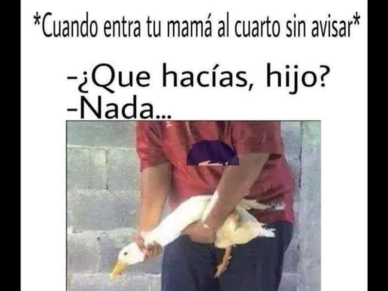 denunciado papu