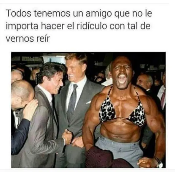 imgs de humor