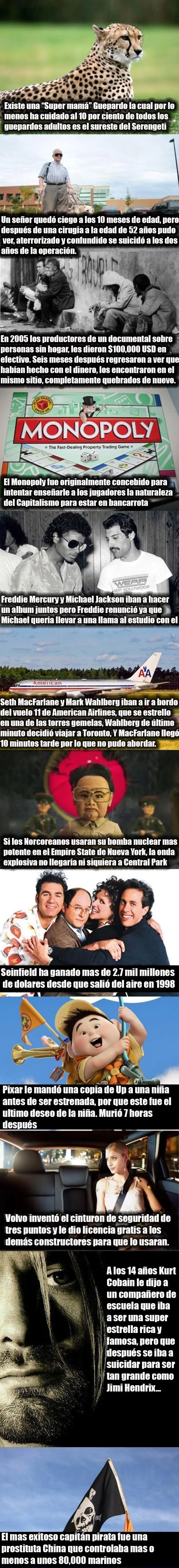 este post fue aprobado por Alexander Hleb