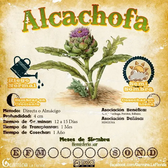 Como Como