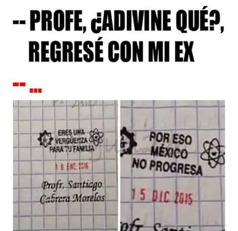 imgs de humor