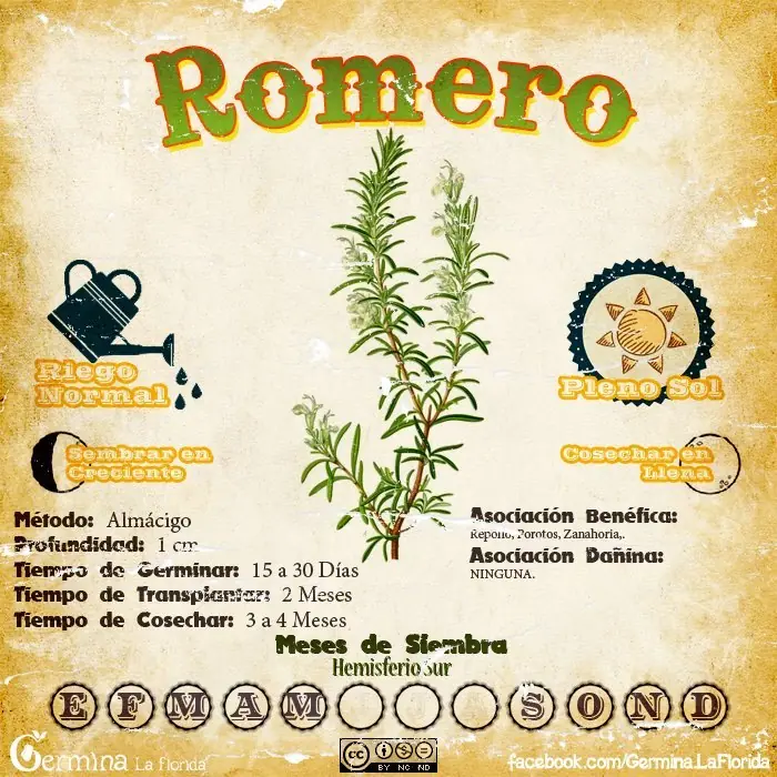 Como Como