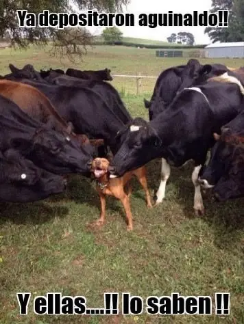 internet