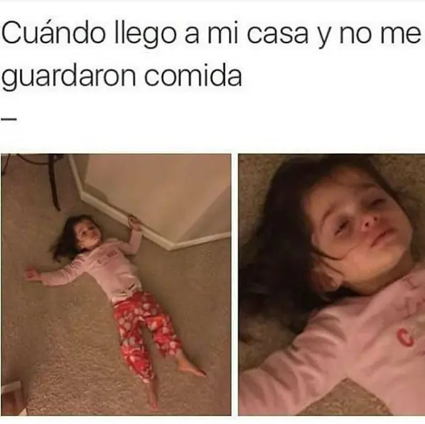 imgs de humor