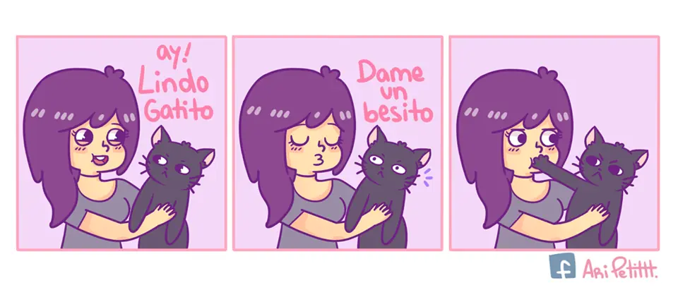 imgs de humor