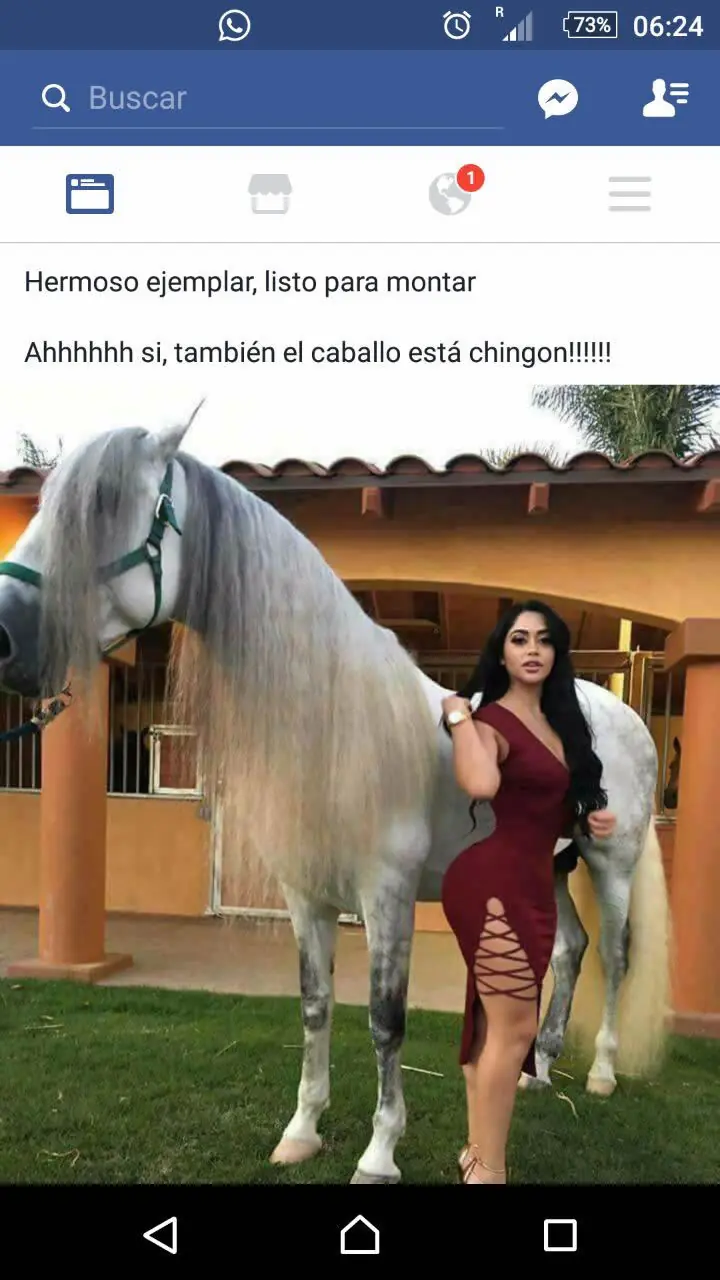 las mejores imagenes