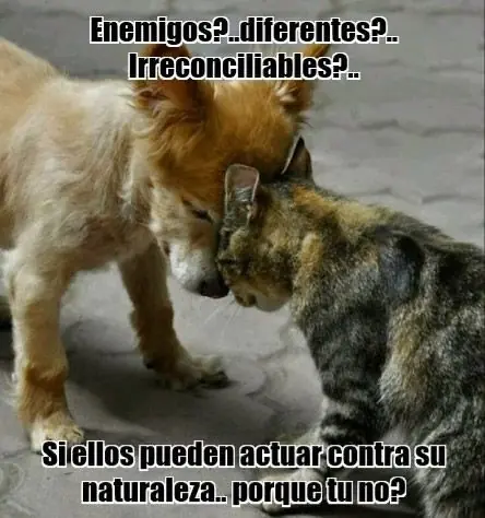 las mejores imagenes