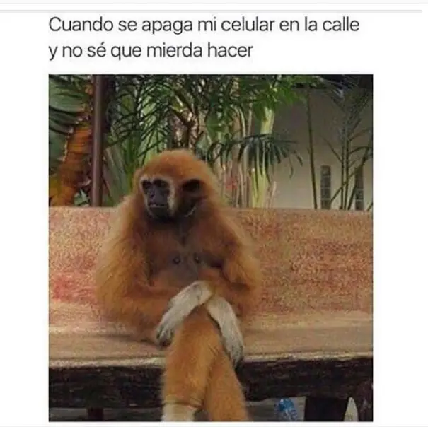 humor