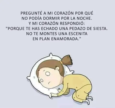 imagenes divertidas