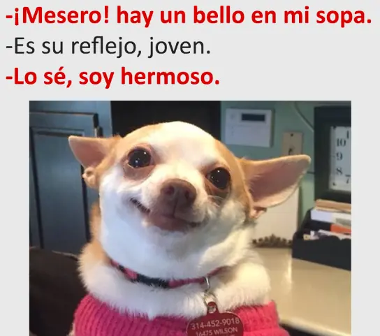 imagenes