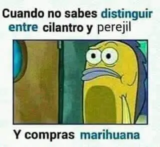 Humor de Viernes